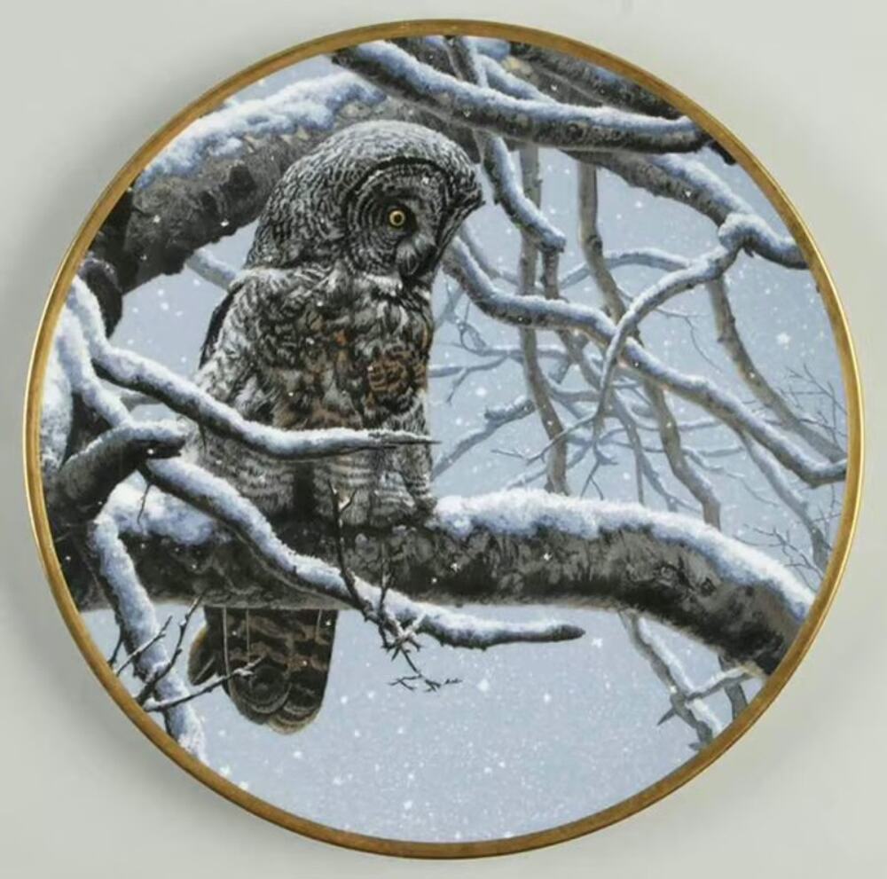 NWOB Spode Snowy Watch Great Gray Owl Seerey-Lester Limited Edition Plate